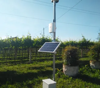 Monitoraggio Vigneti